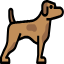 GreyHound